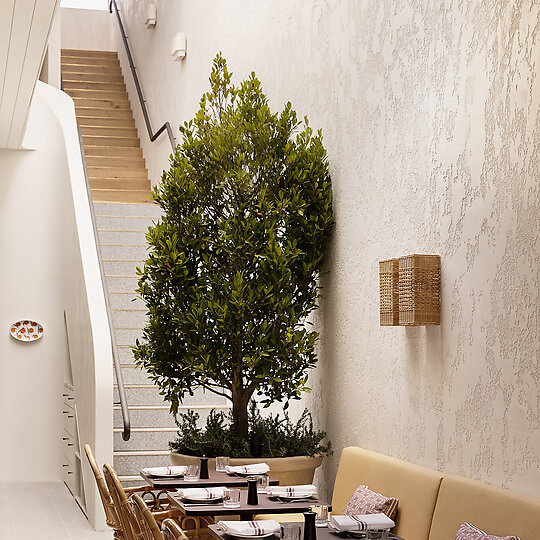 Interior photograph of Grazia Restaurant by Martina Gemmola